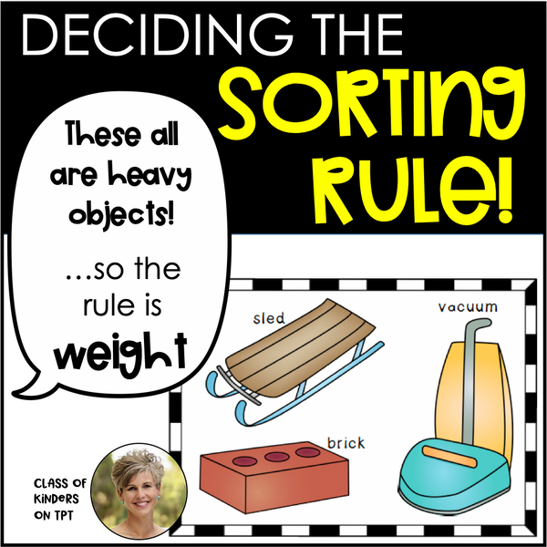 Sorting What's My Rule Activity Kindergarten and First Science & Math