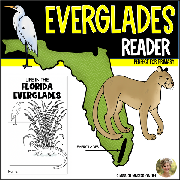 Wetlands Florida Everglades Science Reader National Park - Kinder & First Grade