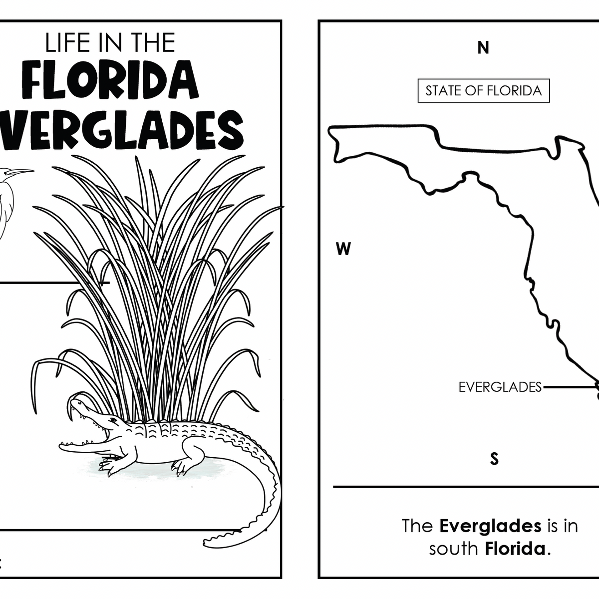 Wetlands Florida Everglades Science Reader National Park - Kinder & First Grade