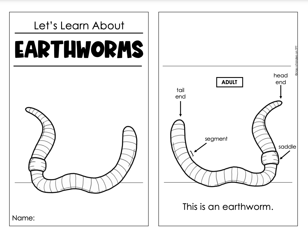 Earthworm Spring Science Reader Kindergarten & First Grade