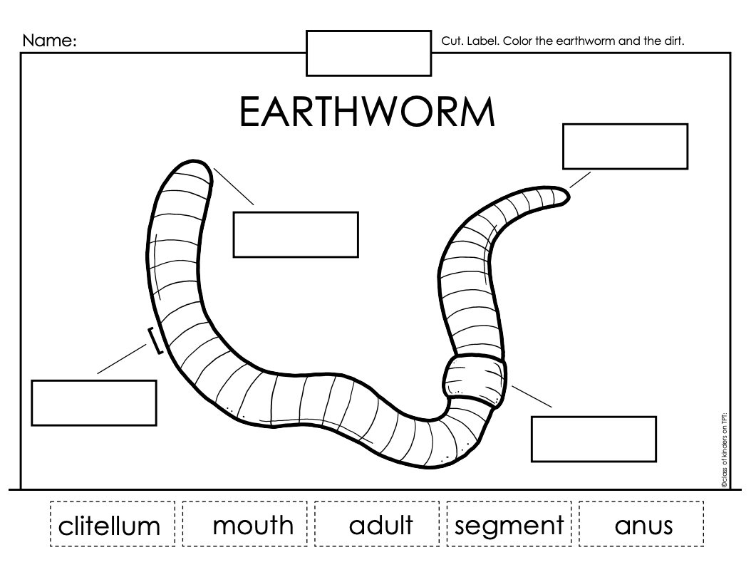 Earthworm Spring Science Label Sheet Kindergarten & First Grade