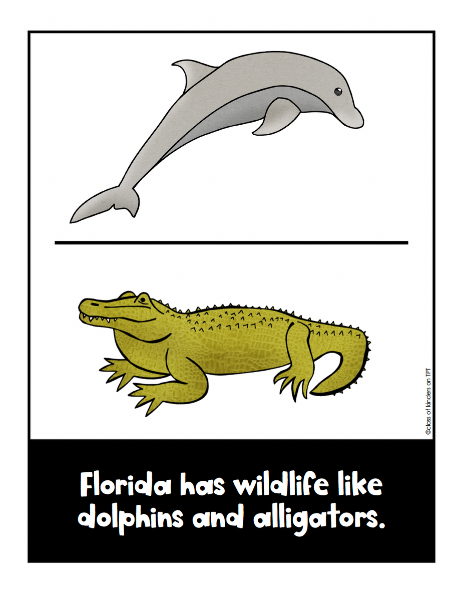 Florida Facts Posters & Inquiry Sheet: Kinder & First Research Social Studies