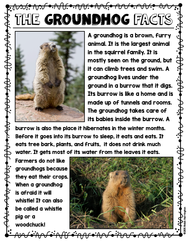 Close Read - Groundhog Informational Reading & Text Dependent Questions