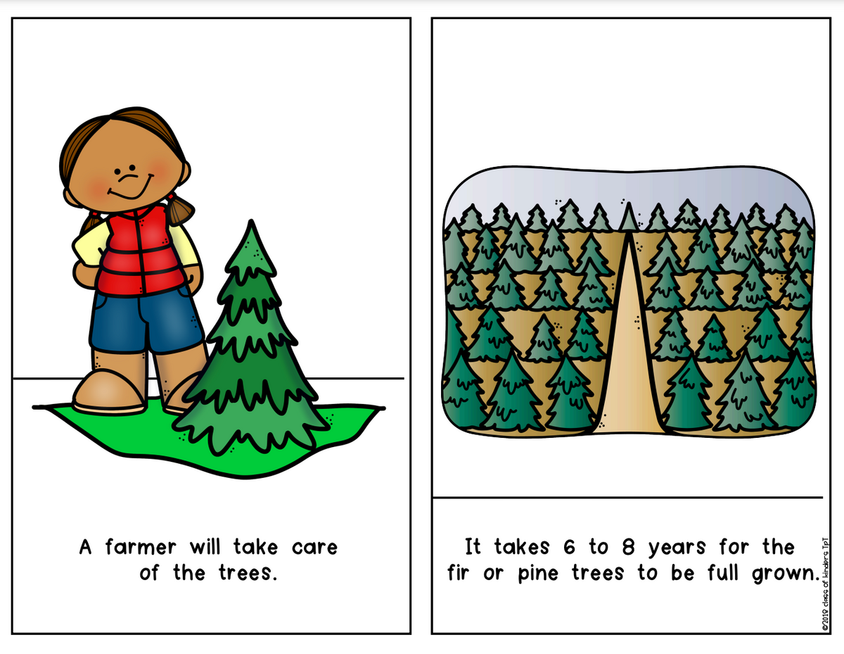 Life of a Christmas Tree December Informational Reader for Kindergarten & First