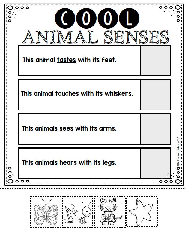 Five Senses for Kindergarten & First Ultimate Pack Science