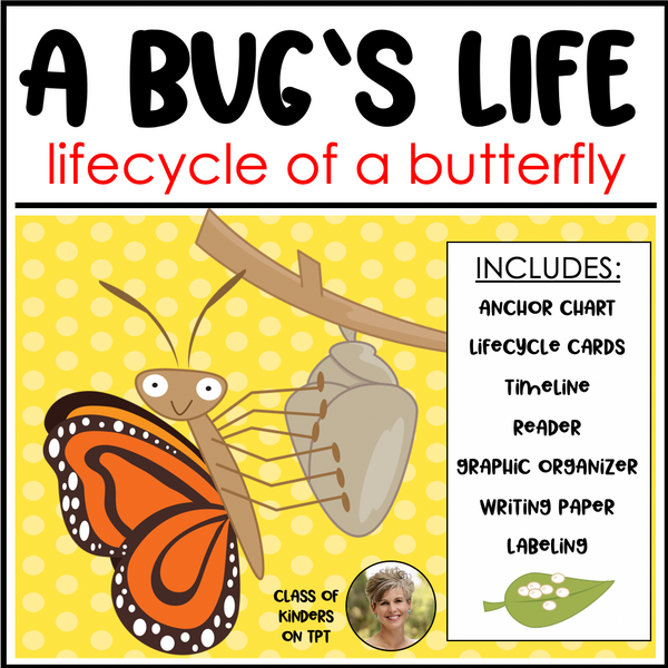 A Bug's Life Butterfly Lifecycle Kindergarten & First Science